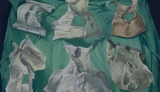 Aldona Mickiewicz - Et in Arcadia ego - 2014, olej na płótnie, 100x120 cm